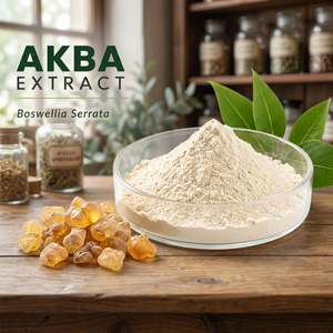 Poudre d'Extrait Végétal d'Akba Boswellia Serrata Sauvage Qualité Alimentaire Certifiée HPLC 60% Ingrédients Actifs Suppléments en Contenant en Verre - Product Image 3