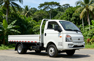 KAMA Dongfeng 4x2 Nouveau mini pick-up X1, moteur essence/diesel ISUZU, 2 places, 5 places, automatique, capacité de charge 2-3T - Product Image 4