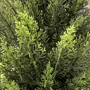 3/4/5/6 ft Ngoài Trời Chống UV nhân tạo tuyết tùng Cypress cây Lụa Nhân Tạo thực vật trang trí cây nhựa cây ngoài trời giả cây - Product Image 2