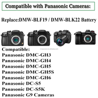 DCC12 DCC17 9V PD câble à ressort DMW-BLK22 DMW-BLF19 batterie factice pour Lumix G9 DMC-GH3 GH4 GH5 GH5S GH6 DC-S5 DC-S5K G9 Cam