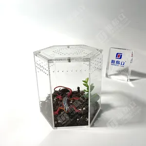 雅格利中国工厂lucite爬行动物展示柜批发透明有机玻璃展示柜