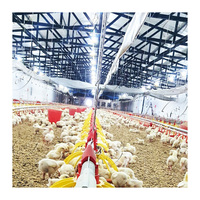 Équipement d'élevage de poulets de chair pour ferme avec prix