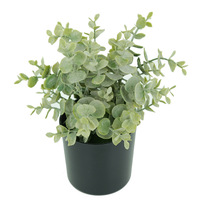 Plante artificielle d'eucalyptus en pot 23 cm, en plastique durable et écologique, petit bonsaï feuille de monnaie pour bureau et intérieur
