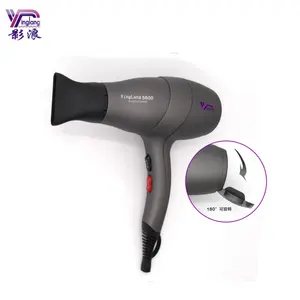 Yinglang Factory Professional Salon Use Hair Dryer Sechoir Cheveux Model 5600