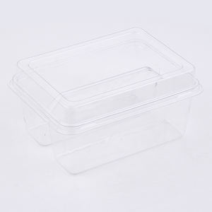 Vente en gros de contenants à sandwich en stock emballage de boîtes en plastique rectangulaires à 2 compartiments boîtes à sandwich en <span class=keywords><strong>film</strong></span> PET avec couvercle - Product Image 2