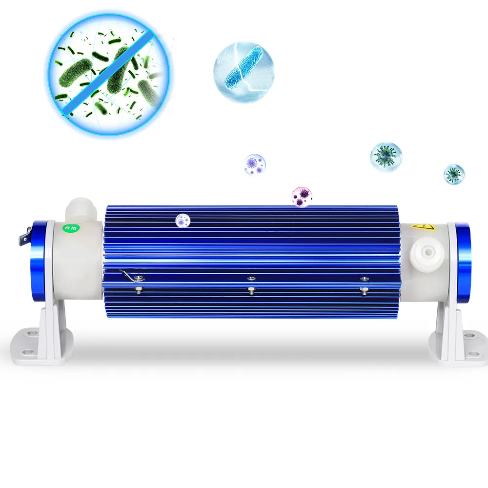 Alta Qualidade Ar Refrigerado 10g Gerador De Ozônio Gerador De Água De Ozônio Celular Para Tratamento De Água Purificador De Ar