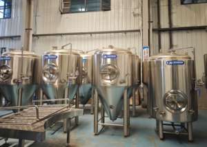 Anytime 1000L 2000L 4000L envanter fermantasyon tankları her zaman gemi - Product Image 4