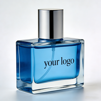 Parfum pour homme de haute qualité, marque privée, usage quotidien, vaporisateur longue durée, 100 ml, Edp, faible MOQ, parfum boisé