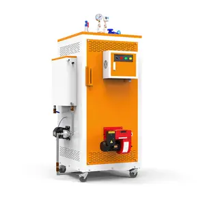 Industriale portatile automatico a doppia alimentazione Gas gpl gasolio caldaia generatore di vapore