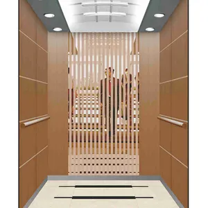 엘리베이터 도구 보관 다다미 중국 카렐로 엘리베이터의 고가 침대 제조업체
