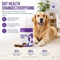 Probiotiques Canins et Félins pour Estomac Sensible – Friandises Tendres en Gros – Équilibre Intestinal et Soutien Enzymatique pour Animaux – Fabricant