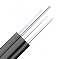 Kabel Fiber Optik Drop FTTH 1/2 Core Indoor/Outdoor G.657A Produsen Digital 1 2 4 6 8 12fo Single Mode Fibra Optica