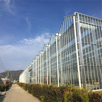Serre multi-chapelles en verre pour la culture de fleurs et légumes – Système de serres agricoles