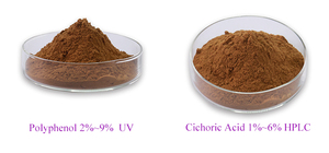 Cựu chiến binh nhà sản xuất của 4% hplc chicoric axit từ Echinacea chiết xuất - Product Image 5