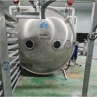 30m² Hoge Kwaliteit Commerciële Vriesdroogmachine Sublimatie Condensatiedroger Vacuüm Lyofilisator