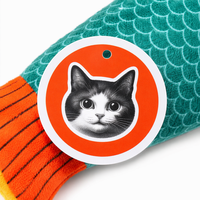 Jouet pour chat en forme de poisson avec boîte à son et herbe à chat, résistant aux morsures, jouet interactif pour chats d'intérieur