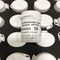 Sensor de Gas Combustible Metano LEL CITY 4P-90 4P-90C 4P90C CH4 Original BW SR-W04