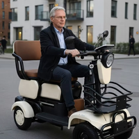Quadricycle électrique décontracté Holladay pour les personnes âgées, scooter de mobilité domestique, navette compacte pour personnes âgées, scooter électrique urbain