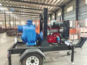 Pompes auto-amorçantes de référence pour l'industrie minière, durables et efficaces pour le transfert d'eaux usées et de boue - Product Image 5