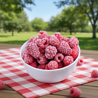 HACCP Harga Terbaik Buah Raspberry Beku IQF Rasa Manis Utuh Terawetkan dalam Jumlah Besar