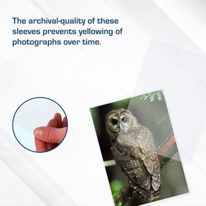 Fundas para fotos FX x5x7 PP para álbumes de fotos, tarjetas de presentación, sin ácido, sin PVC, fáciles de transportar, diseño moderno, compatibles con protectores de hojas, tipo Topload - Product Image 3