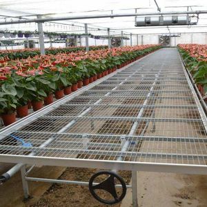 Hot Sale Small Iron Greenhouse <strong>Rolling</strong> Benches Removable Galvanized Seedbed <strong>Wire</strong> Mesh for Seedling - Product Image 6