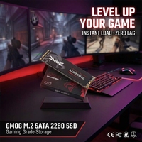 Бюджетный SSD-накопитель SATA M.2 256 ГБ 2280 NGFF с поддержкой Intel и AMD для настольных ПК и ноутбуков