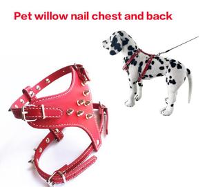 Fabriek Outlet Hot Sale Anti-Bite Klinknagelbescherming Intrekbare Hondenriem Kraag - Product Image 6