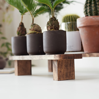 Bloc à couteaux magnétique en bois massif de petite taille, design moderne pour usage intérieur, taille personnalisable, rangement d'outils