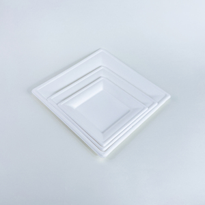Boîte de conteneur alimentaire jetable biodégradable et écologique pour plats à emporter, plateaux et assiettes pour événements festifs - Product Image 2