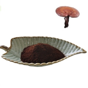 Nhà máy cung cấp trực tiếp Reishi bào tử bột Reishi bào tử shell-bị hỏng bột <span class=keywords><strong>Ganoderma</strong></span> <span class=keywords><strong>lucidum</strong></span> bào tử bột với giá bán buôn - Product Image 1