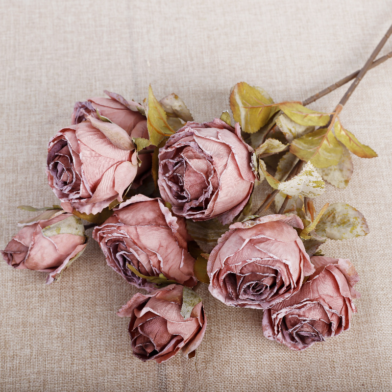 Tallo único, 4 cabezas, rosa británica [Autumn Purple]