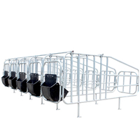 Équipement de ferme porcine professionnel de belle qualité positionnement colonne de limite de porc porcs caisses de gestation Cages pour animaux