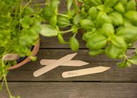 Étiquettes de plantes en bois Ensemble de 40 marqueurs de jardin écologiques pour plantes en pot
