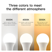 Ampoules LED Résidentielles et Industrielles 110-220V, Matières Premières pour Ampoules LED 3W 5W 7W 9W 12W 15W, Culot B22 et E27