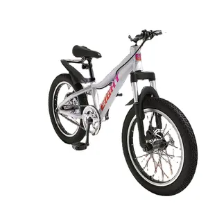 Commercio all'ingrosso nuovo Design in acciaio ad alto tenore di carbonio ragazza bici bambini bici bicicletta 12 pollici rosso bici a buon mercato per i bambini