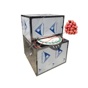 Industrial high efficiency fruit deseeder machine lychee seed removing machine