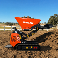 Kostenloser Versand: Hydraulischer Diesel-Minidumper 600kg 800kg – Multifunktionaler Raupen-Minidumper für Baustellen