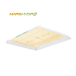 Lámpara de Cultivo LED Cuántica de Espectro Completo Regulable de Alta Eficiencia <span class=keywords><strong>Mars</strong></span> Hydro TSW-2000 de 300W para Plantas de Interior - Product Image 1