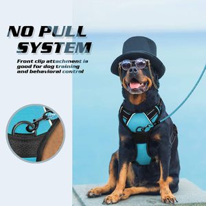 Custom Logo OEM Cheap <strong>Price</strong> Comfortable Wholesale Heavy Duty High Quality Adjustable No Pull Luxury Neoprene Nylon Dog <strong>Harness</strong> - Product Image 3