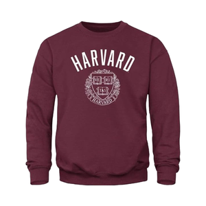 Sudadera de Forro Polar con Cuello Redondo y Logotipo Personalizado, 100% Algodón, Unisex, Diseño para Adultos, Tejido de Punto, Forro de Invierno, Color Sólido, 280g, Antibolitas - Product Image 1