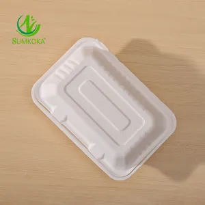 SUMKOKA PFAS Free Eco-friendly Disposable 9x6 Inch Compostable Take Away Lunch Box Sugarcane Food Container