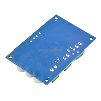 Carte d'amplificateur de puissance numérique mono XH-M542 100W au lieu de TPA3116