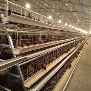 Automatische Kippengevogelte Eierlagen Kooi Heet Gegalvaniseerd Boerderij Ontwerp Een Type Kooi - Product Image 2