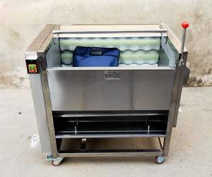 Machine industrielle haute performance pour le nettoyage, la purification, le lavage et le pelage des fruits (myrtilles, taro, carottes, oignons, gingembre) et des légumes (pommes de terre) - Product Image 2