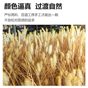 Planta Artificial de Césped con Cola de Conejo, 50cm 70cm, PVC Realista, Decoración para el Hogar, Flor Base de Alta Simulación - Product Image 5