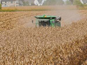 Moissonneuse-batteuse de marque réputée RG25 4LZ -2.5 G, nouvelle RG25 à vendre - Product Image 5