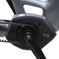 Vélo électrique de ville de style néerlandais TXED, moteur central 36V 250W, batterie 20Ah, freins à disque hydrauliques, pneus 700x42C, vélo électrique à cadre basse