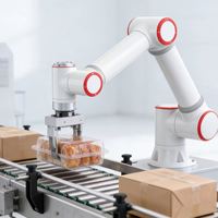 El Robot 2026 Tiene un Brazo de Seis Grados de Libertad y una Capacidad de Carga de 5 kg.