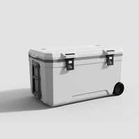 Glacière personnalisée de grande capacité portable pour la pêche en plein air le camping 120L Fabricant de glacières